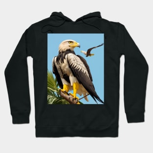 American Eagle Hoodie